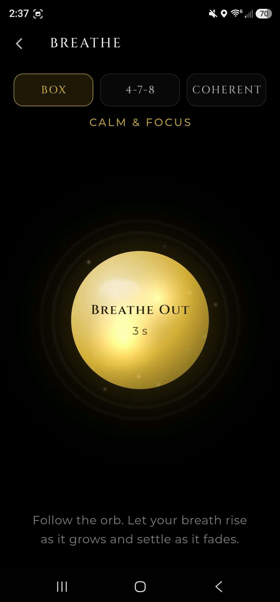 Aura Pulse guided breathing orb